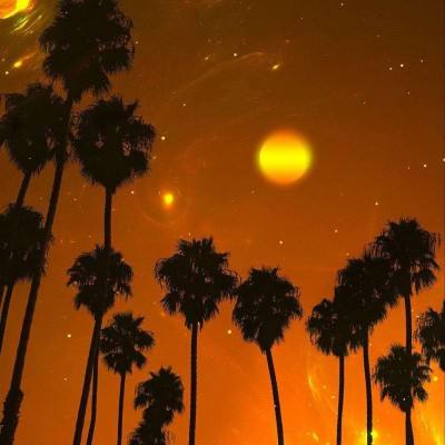 澳门精准正版资料大全app下载