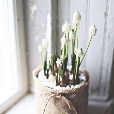 彩票平台wellcome