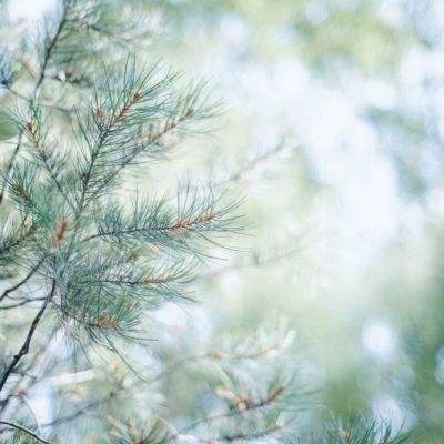 乐鱼体育平台下载地址