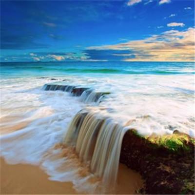 NG体育APP官方下载网址下载手机版