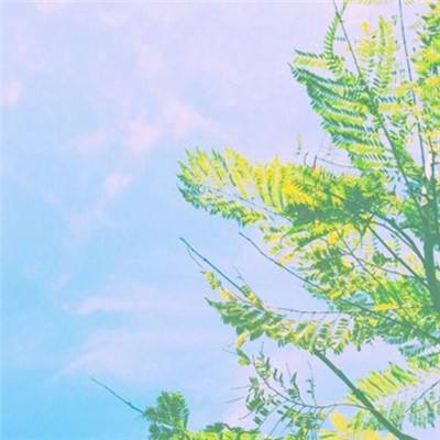 星空足球app截图