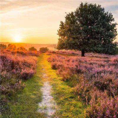 乐鱼娱乐app手机app下载截图