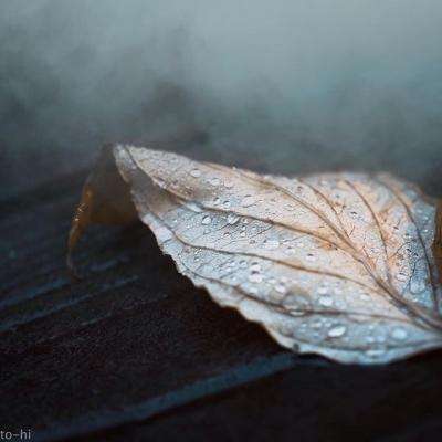 乐鱼竞彩官网app下载