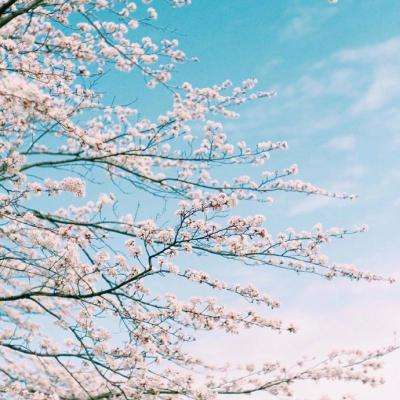 乐鱼app(中国体育)官方网站