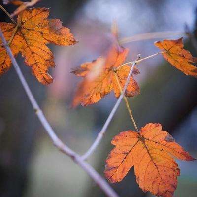 博鱼综合体育APP