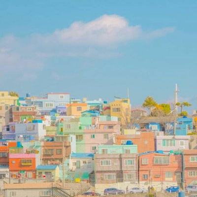 NG体育APP官方下载网址